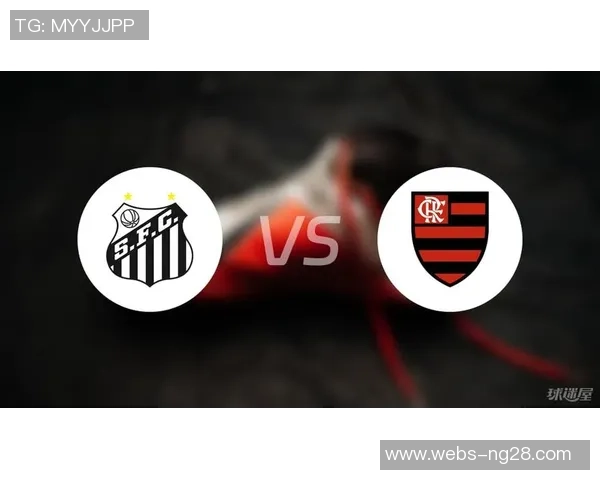 弗拉门戈与桑托斯的激烈对决揭示巴西足球的魅力与竞争力