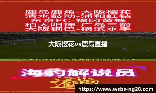 南宫NG28